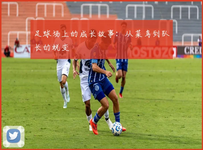 足球场上的成长故事：从菜鸟到队长的蜕变